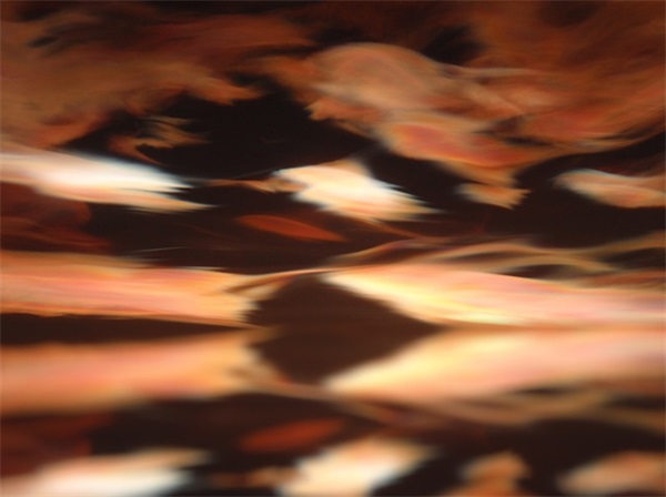 公司过年祝福短信83句