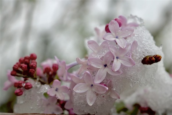 送老公生日祝福短信83句
