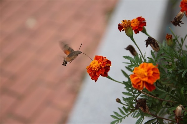 周末祝福短信2025年81句