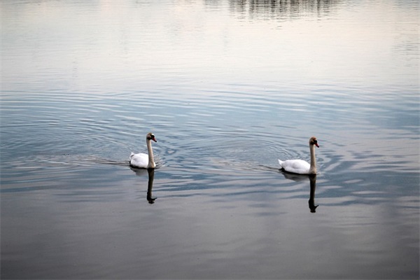 十月一祝福短信80句