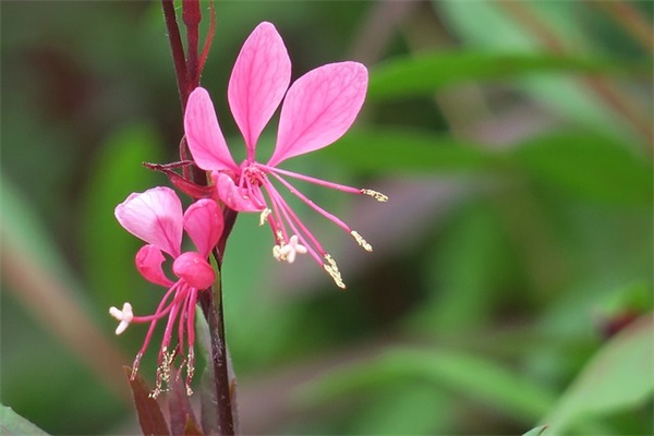 2025年送领导祝福短信81句