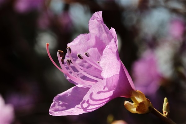 国庆幽默祝福81句