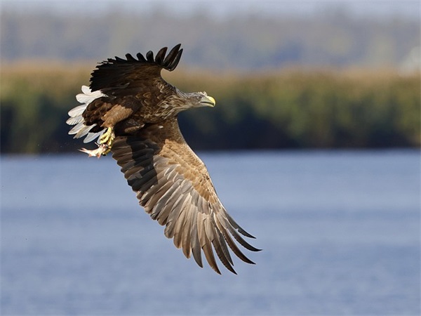 大学毕业祝福话语82句
