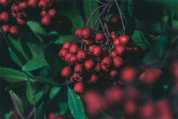 中秋节夫妻祝福短信81句