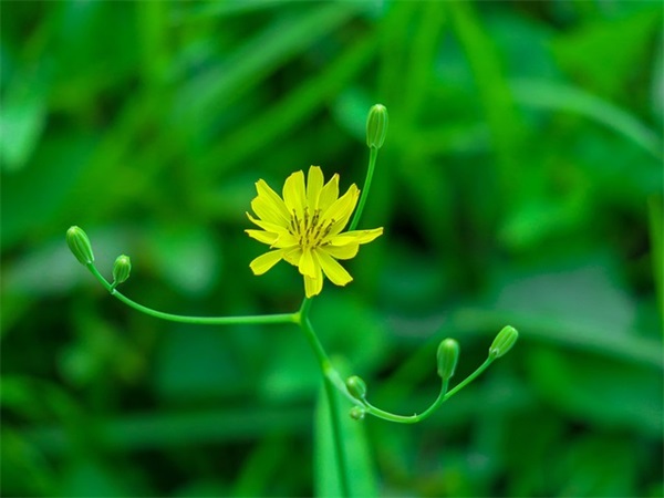 五一节日的祝福短信85句