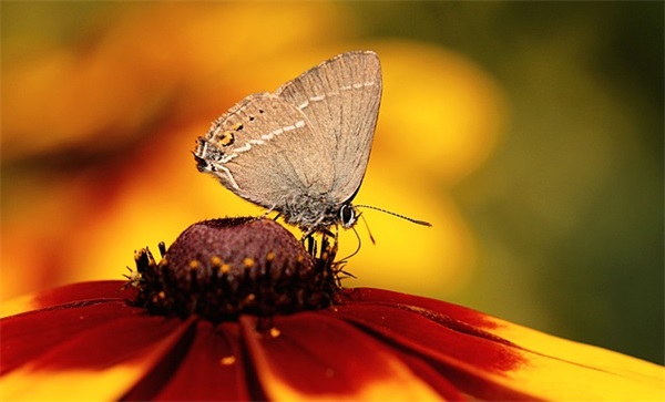 唱的好听的网名