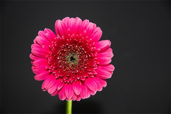 好听的枪战网名大全