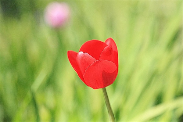 木字开头的好听的网名