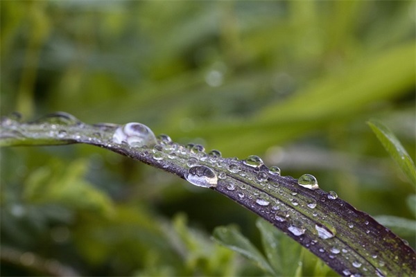 网名叫冷心好听吗