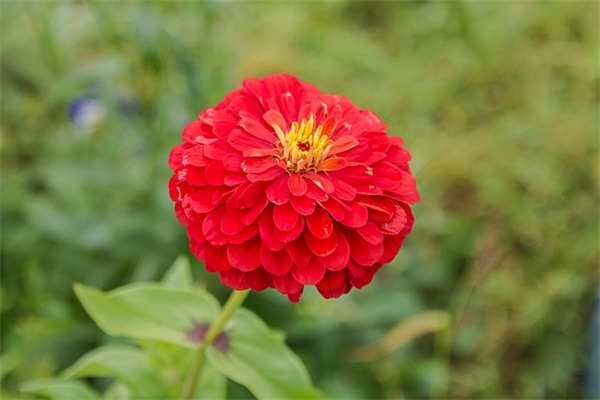 6个字qq网名好听