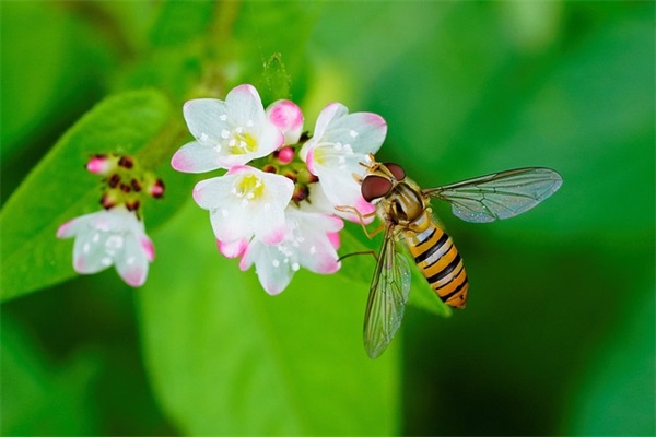 好听好看的qq网名