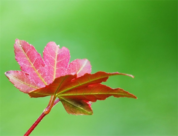 qq网名符号好听