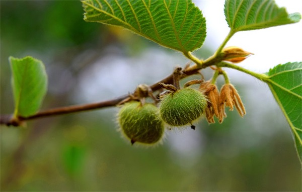 好听的八字网名 女生