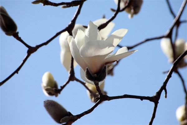 超长好听的网名男生网名
