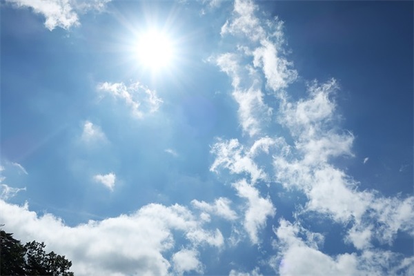 好听的7字女网名