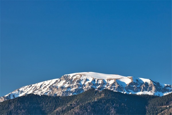 玲字好听的网名