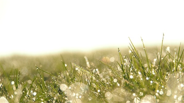 好听的网名女生带人名