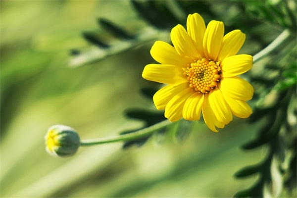 好听的网名姓海男生