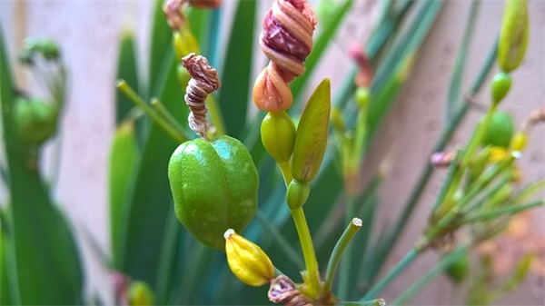 好听的五子网名