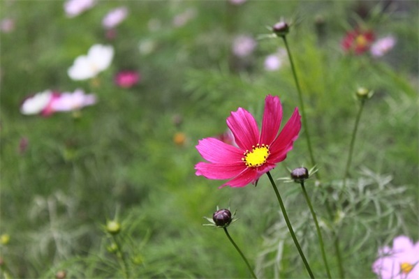 水昵称好听网名大全