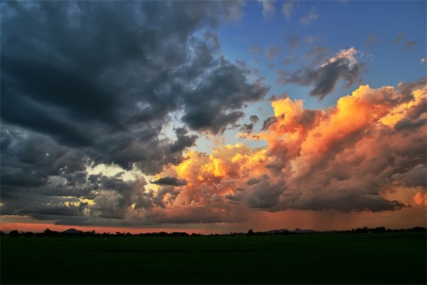 好听的带茶网名