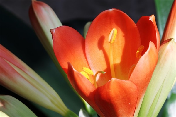 好听女生的网名英语