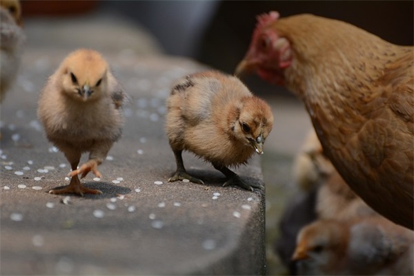 我要个网名好听