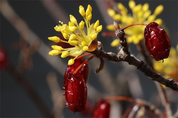 找好听成熟稳重的网名