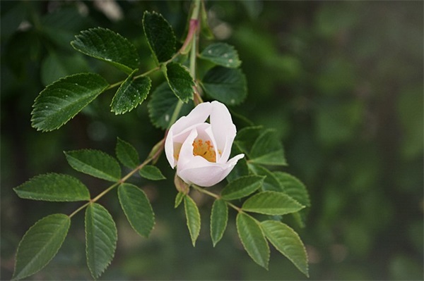 喜欢古玩好听的网名