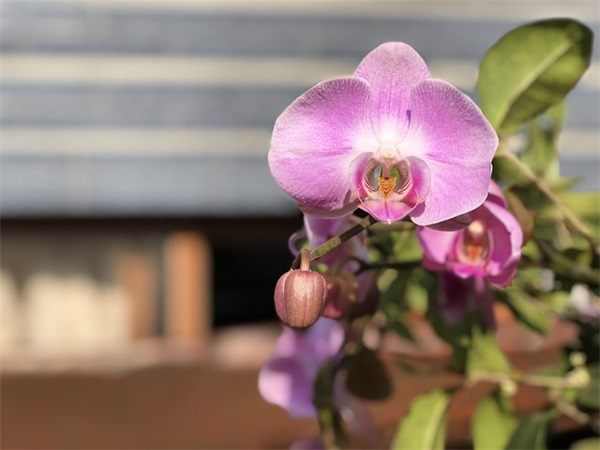 好听的炫酷网名