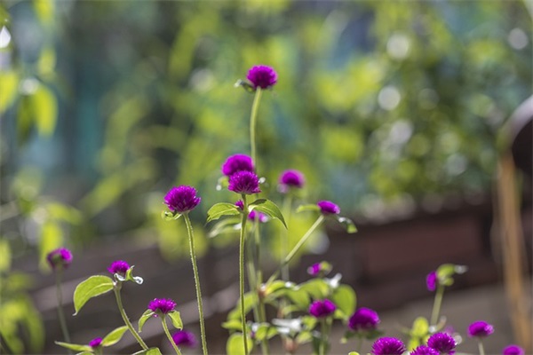 巨好听的网名男生