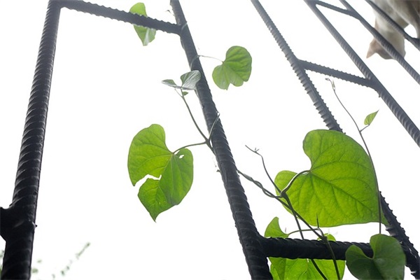 好听的男生网名字大全