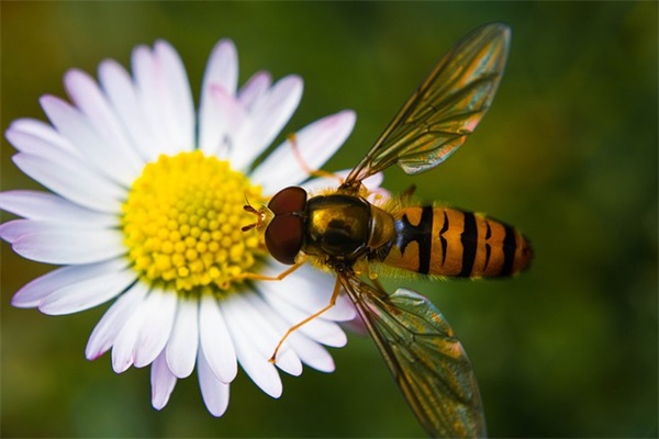 最好听的空间网名
