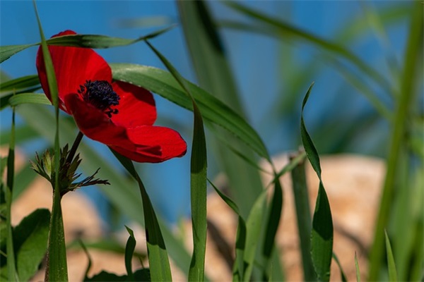 四个字好听网名