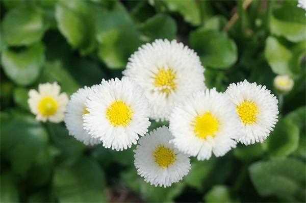 好听的中性网名