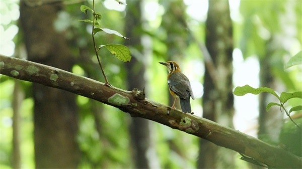 5字好听网名大全