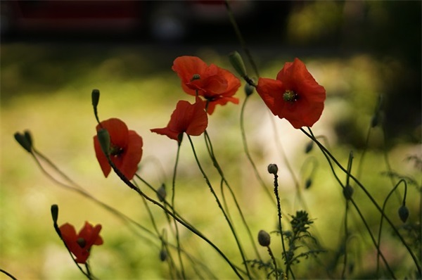 好听的网名男生干净