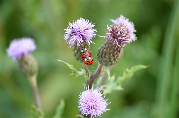 适合男生的网名好听的
