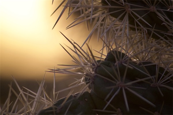 有那些好听的网名男士