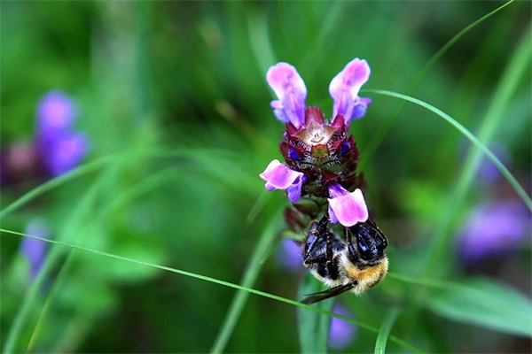 好听颓废qq网名