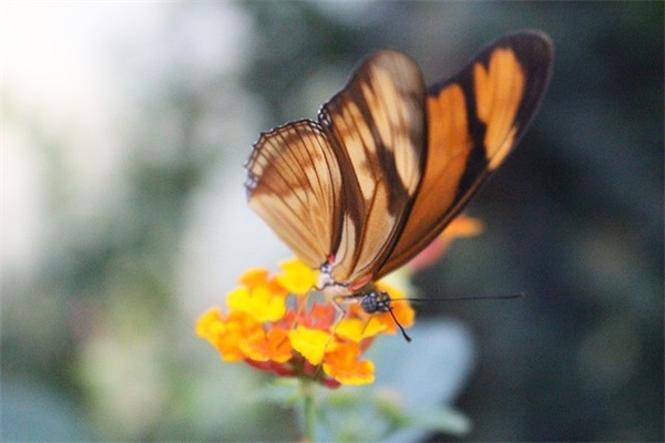 好听超拽男生网名大全