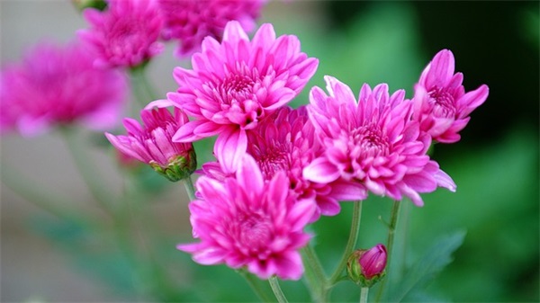 两个字好听网名男