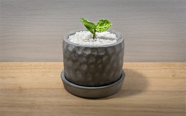 6个字好听的网名大全