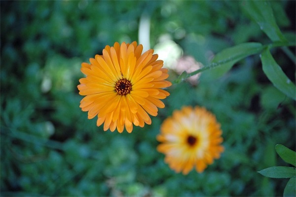 2023年女生好听的网名