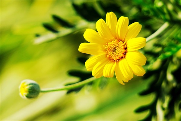 qq女生网名好听