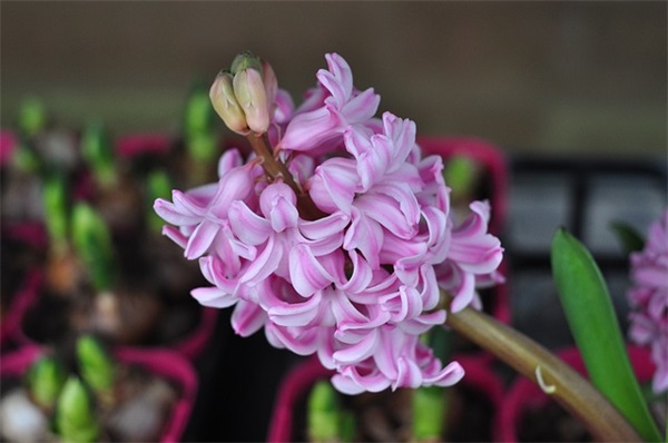 好听的成语男网名