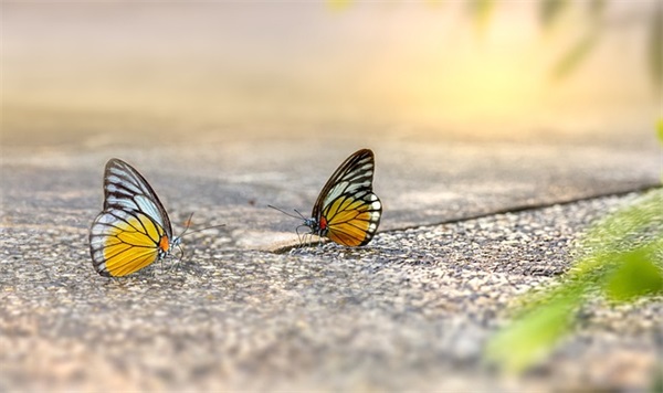 好听一点的网名男生
