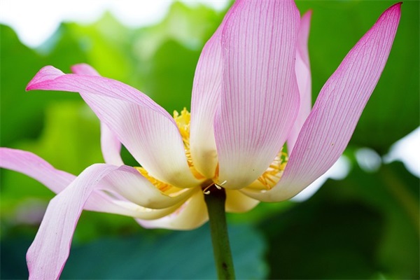 好听发财的网名大全