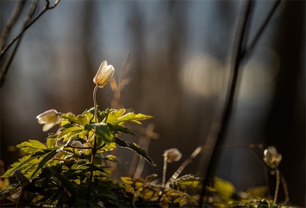 好听的男女网名