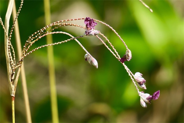 qq网名女生简短好听